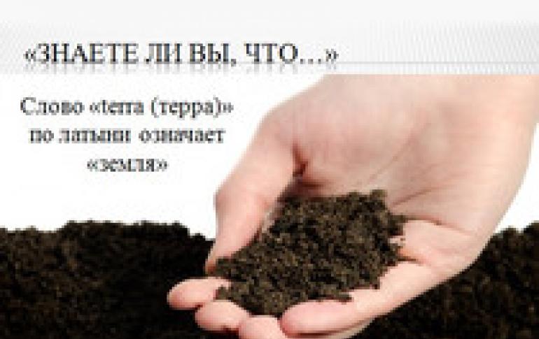 Lingua e letteratura russa - Modelli di presentazione - Consiglio pedagogico della comunità di mutuo soccorso degli insegnanti
