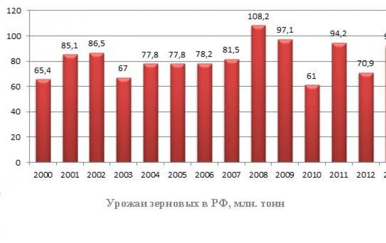 Курсова работа: Селско стопанство на Руската федерация